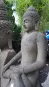morepic-2